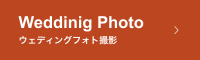 Wedding Photo ウェディングフォト撮影