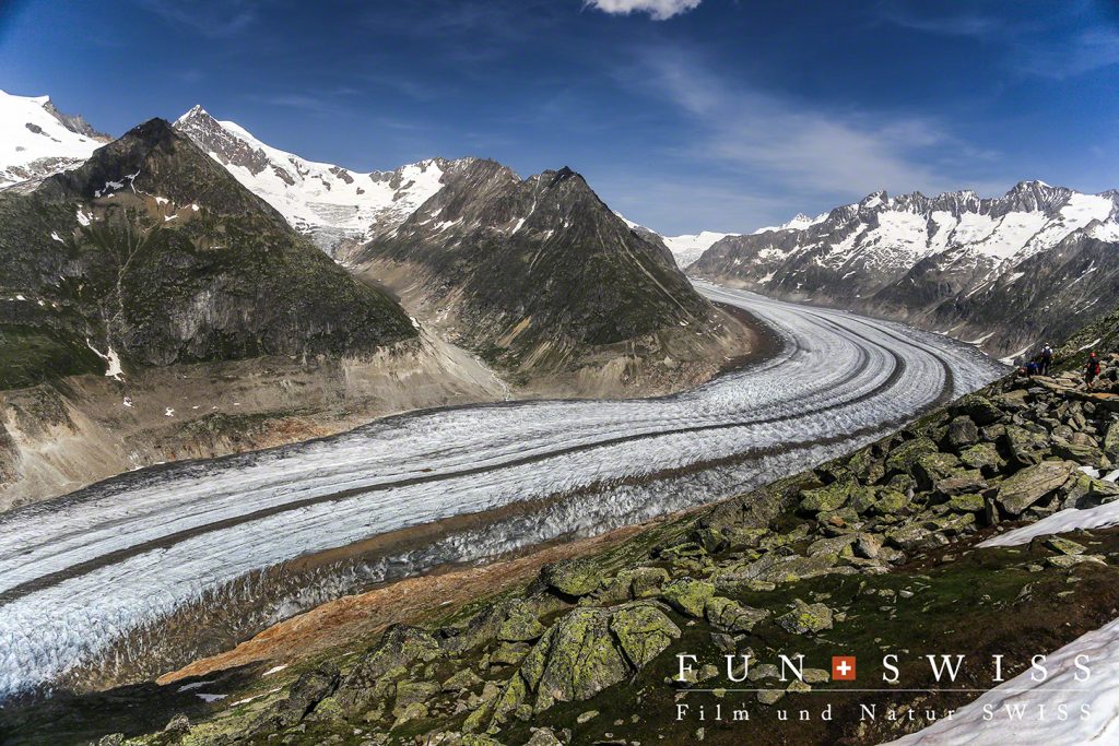 アルプス山脈最大、アレッチ氷河の魅力 | FUNSWISS