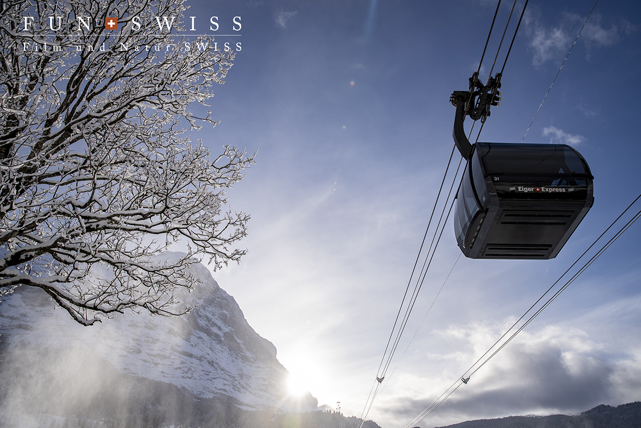 ソワーニュ フューチャーステージ プレミアムコンクアイズEX ソワーニュ フューチャーステージ トータルワークスEX